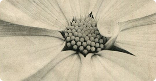 любовь к себе, работа над отношениями психолог